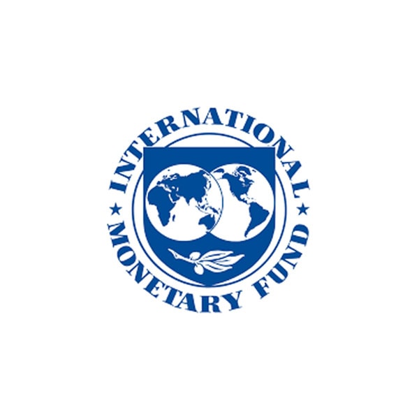 The logo of the International Monetary Fund featuring two globes, a laurel branch, and the organization’s name in a blue circular design on a white background.