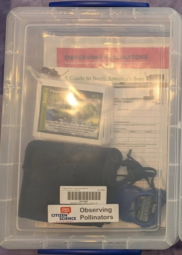 observing pollinators citizen science kit
